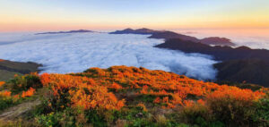 Trekking Sa Pa: Một Đêm Ngủ Lều Dưới Mây Trên Đỉnh Tà Chì Nhù
